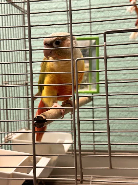 Partners Pet Center 4