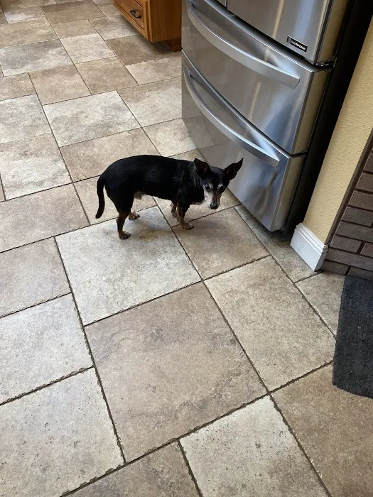Pioneer Animal Hospital 12