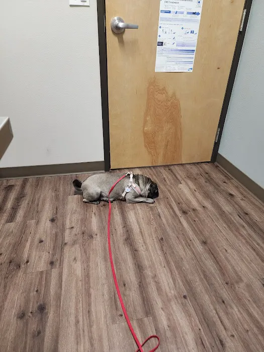 Pioneer Animal Hospital 12