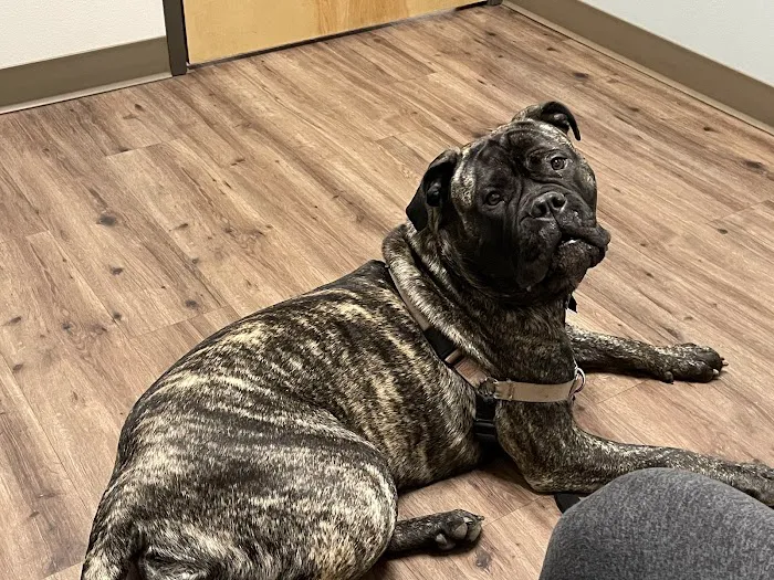 Pioneer Animal Hospital 12