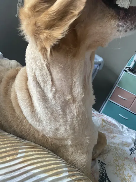 Petco 6