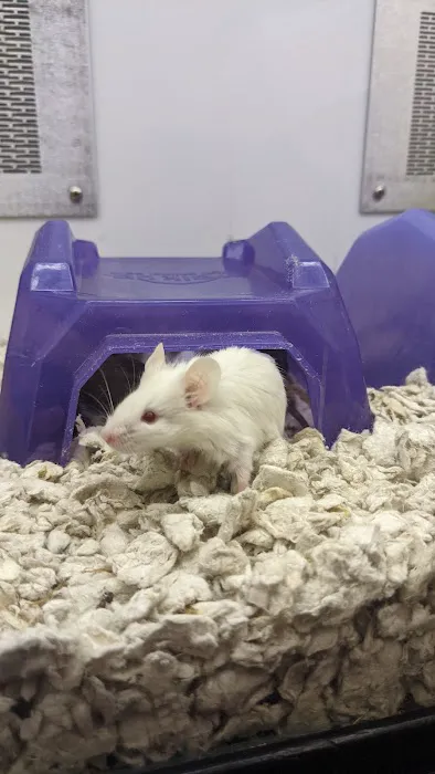 Petco 3