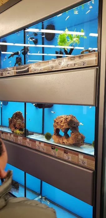 Petco 5