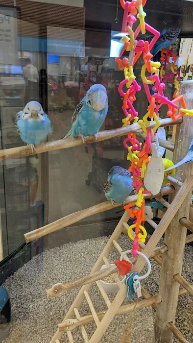 Petco 2