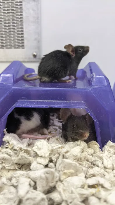 Petco 1