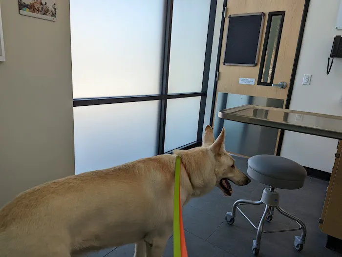 Banfield Pet Hospital 6