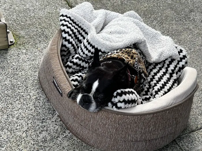 Banfield Pet Hospital 8
