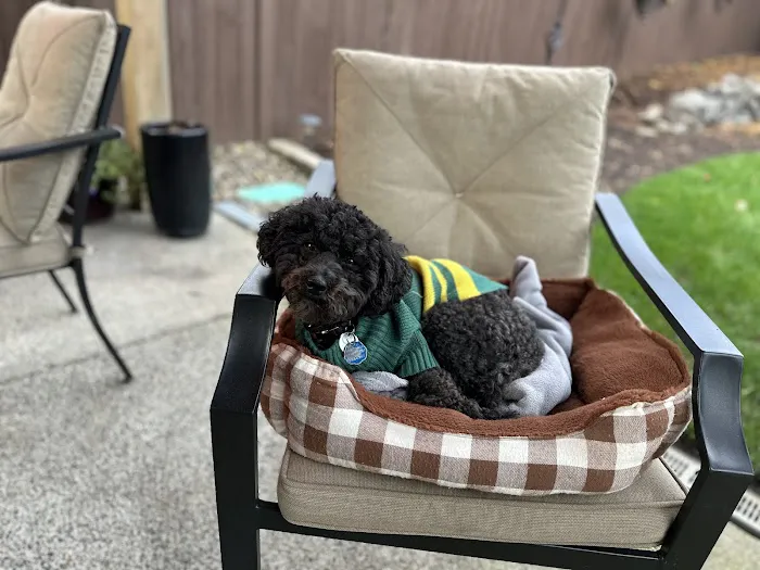 Banfield Pet Hospital 7
