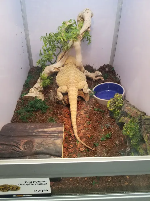 Pet Supermarket 10