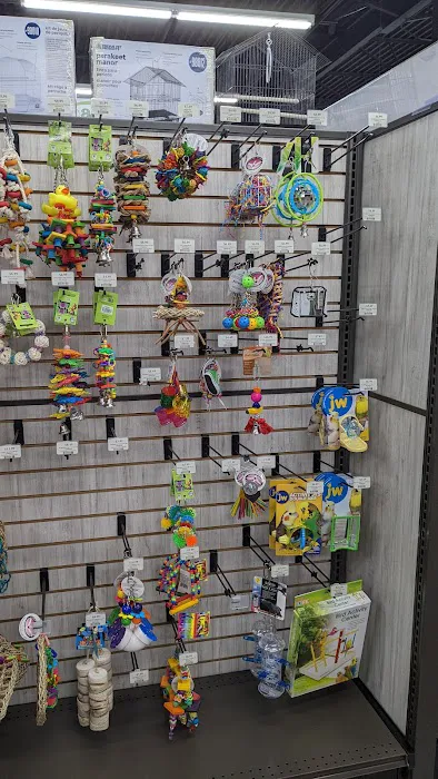 Pet Supermarket 7