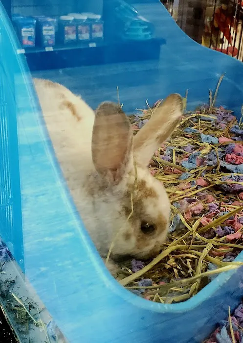 Pet Supermarket 9