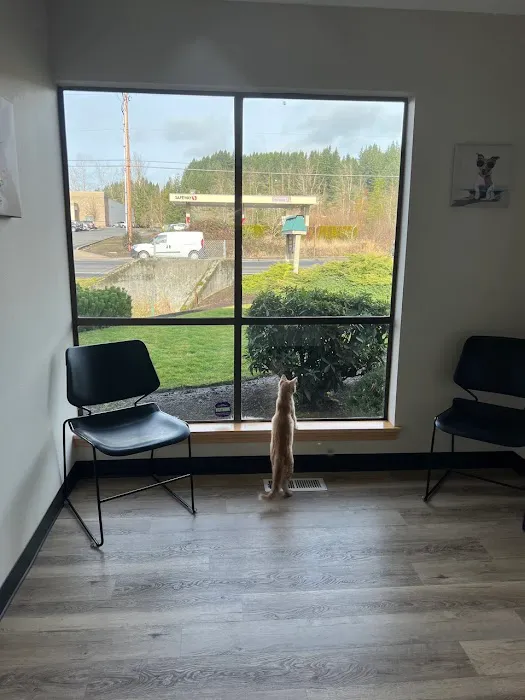 Pine Point Animal Hospital 10