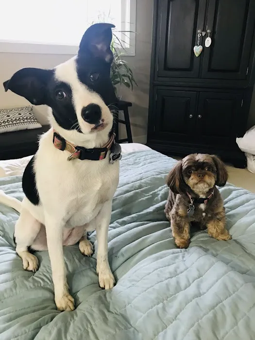 Pine Point Animal Hospital 8