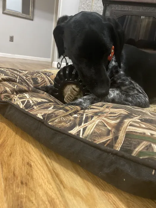 Starmark Pet Products, Inc. 2
