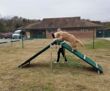 Starmark Pet Products, Inc.