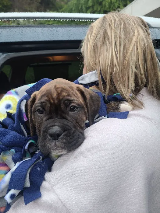 Banfield Pet Hospital 7