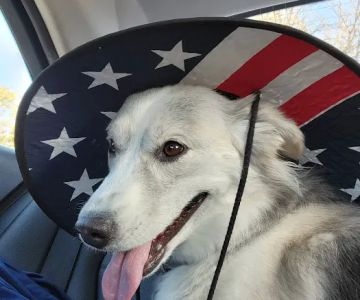 Banfield Pet Hospital