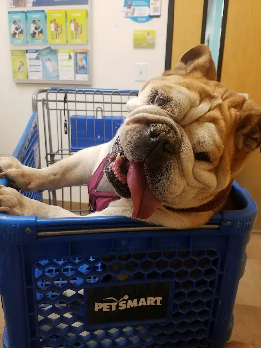 Banfield Pet Hospital 9