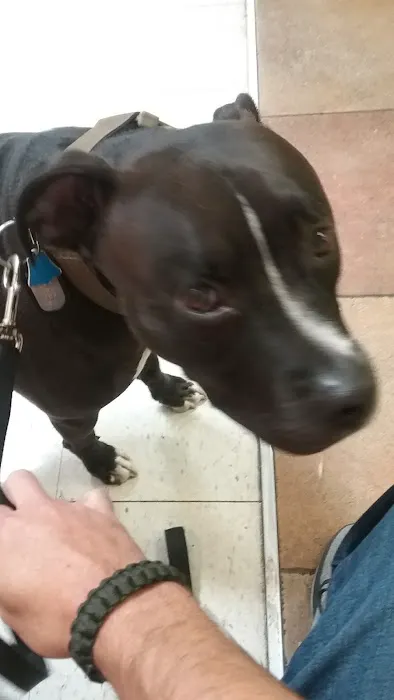 Banfield Pet Hospital 4