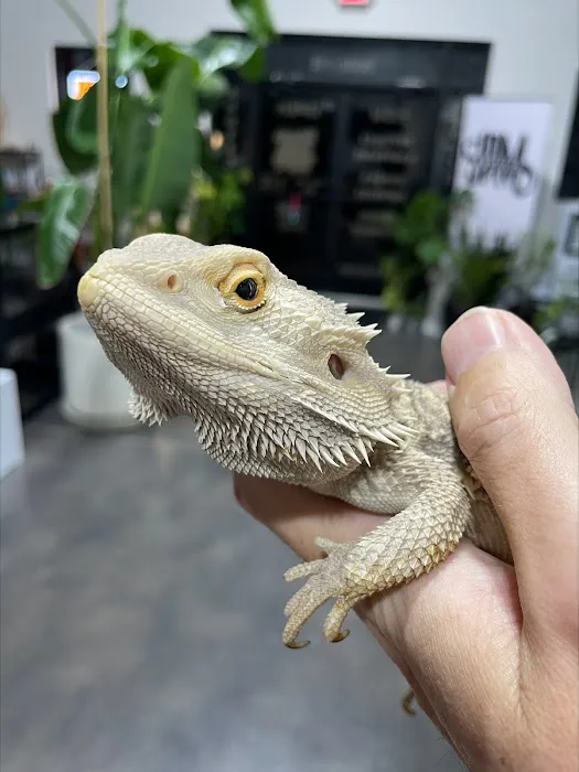 Amazing Animal Adventures Exotic Pet Shop 1