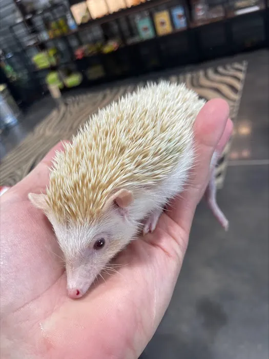 Amazing Animal Adventures Exotic Pet Shop 6