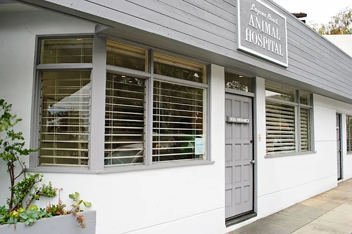 Laguna Beach Animal Hospital 7