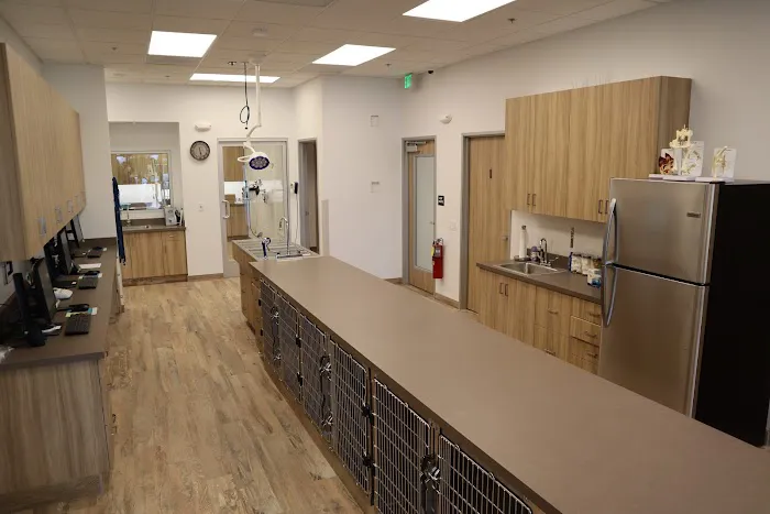 Aliso Viejo Animal Hospital 1