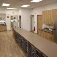Aliso Viejo Animal Hospital ico