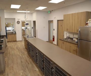 Aliso Viejo Animal Hospital