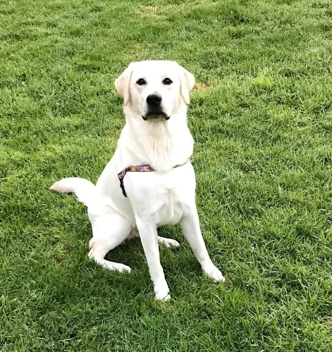 Laguna Hills Animal Hospital 7