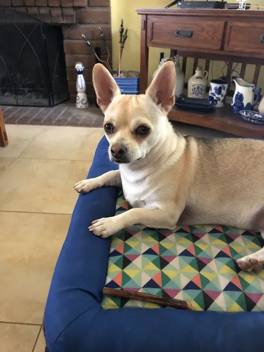 Laguna Hills Animal Hospital 2