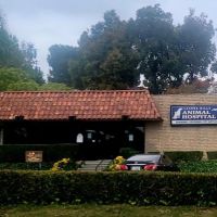 Laguna Hills Animal Hospital: Costuma Steve DVM ico