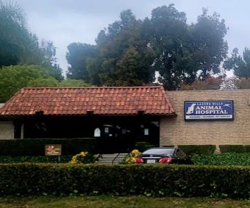 Laguna Hills Animal Hospital: Costuma Steve DVM