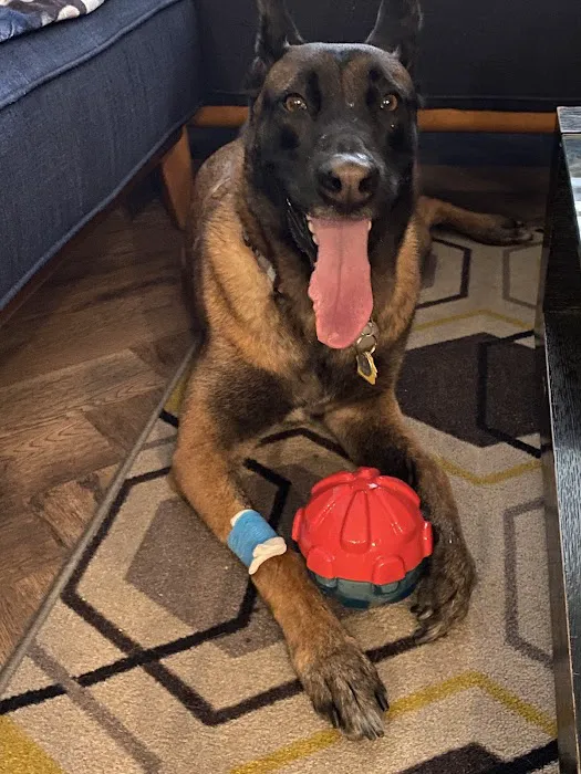 Aliso Niguel Animal Hospital 1
