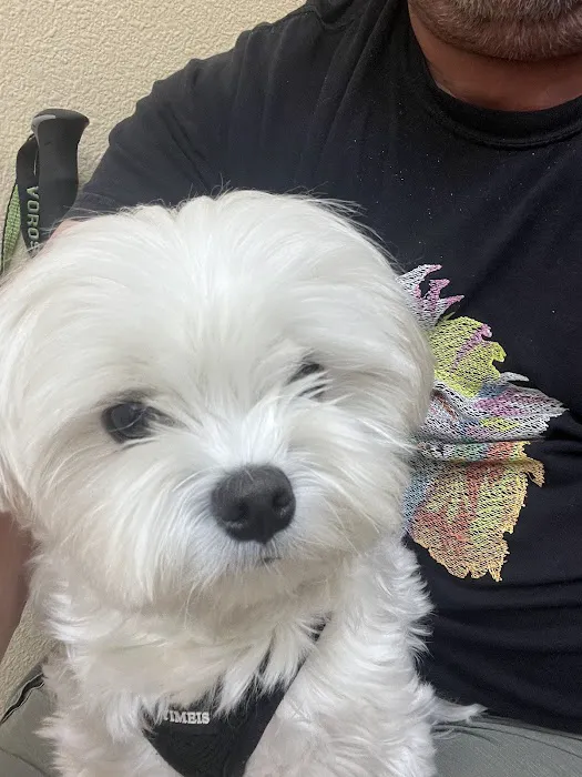 Aliso Niguel Animal Hospital 9