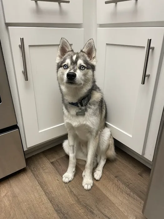 Aliso Niguel Animal Hospital 7