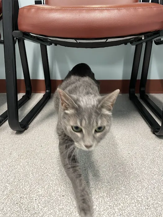 Niguel Animal Care Center 10