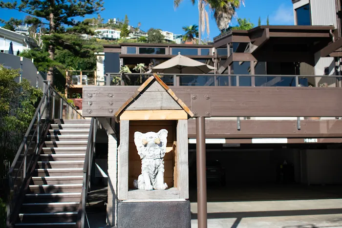 Arch Beach Veterinary Clinic 4