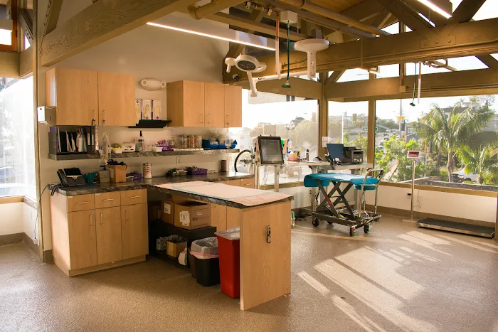 Arch Beach Veterinary Clinic 6