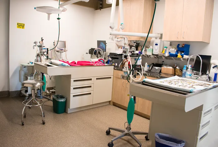 Arch Beach Veterinary Clinic 7