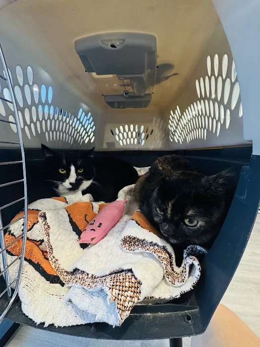 Laguna Pet Care Center 3