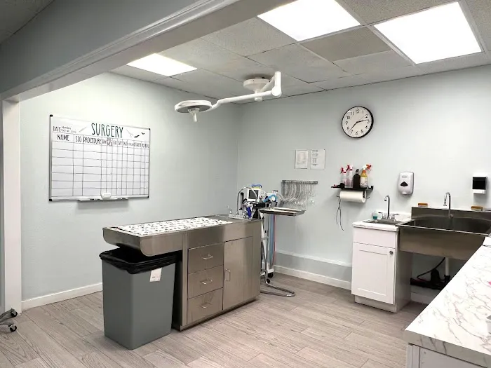Laguna Pet Care Center 8