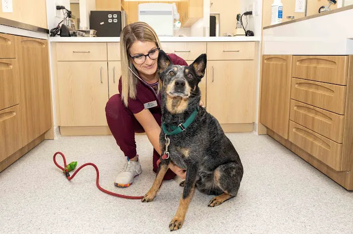 North Hills Animal Hospital 9