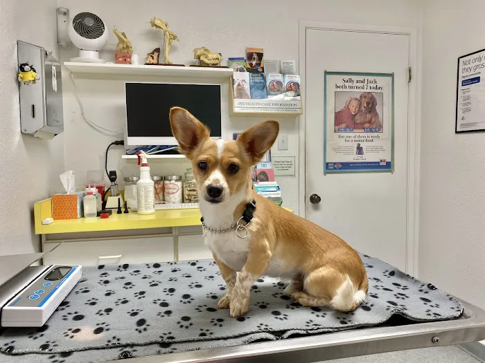 North Hills Animal Hospital 2
