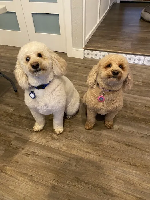 North Hills Animal Hospital 5