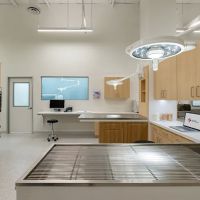 North Hills Animal Hospital ico