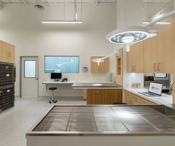 North Hills Animal Hospital