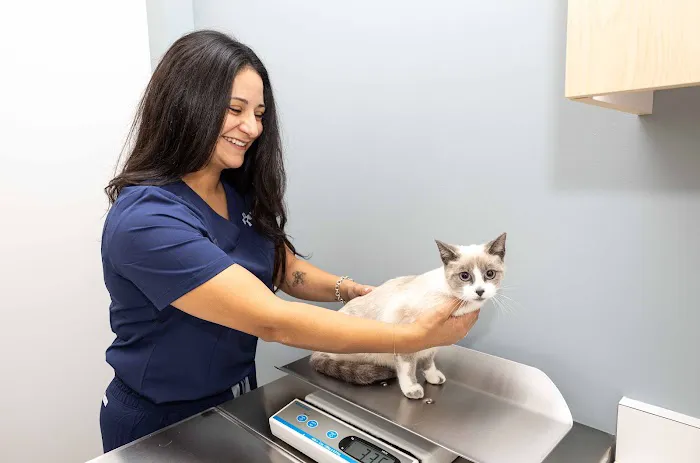 North Hills Animal Hospital 7