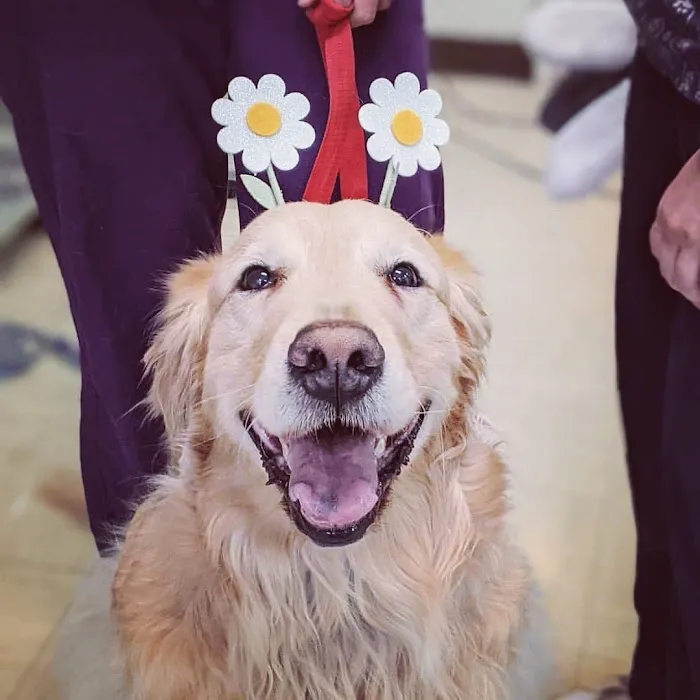 Aliso Beach Animal Clinic 3