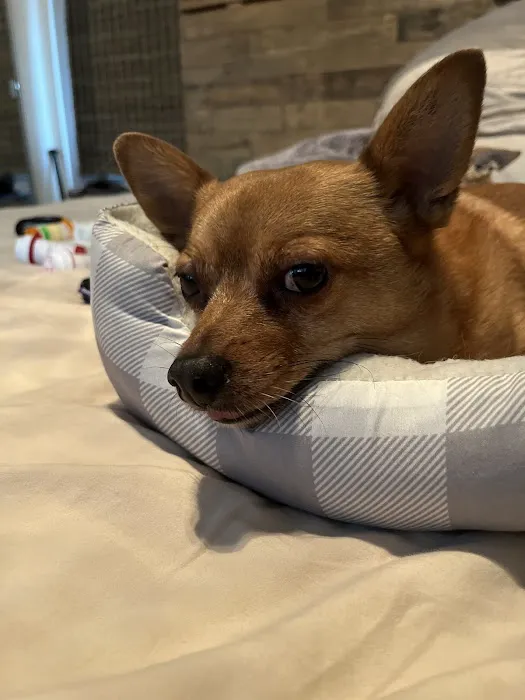 Alicia Pacific Veterinary Center 2